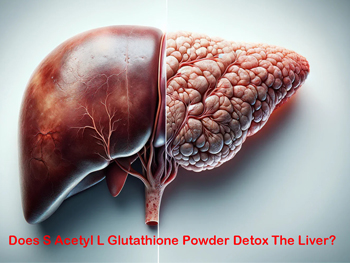 Does S Acetyl L Glutathione Powder Detox The Liver?